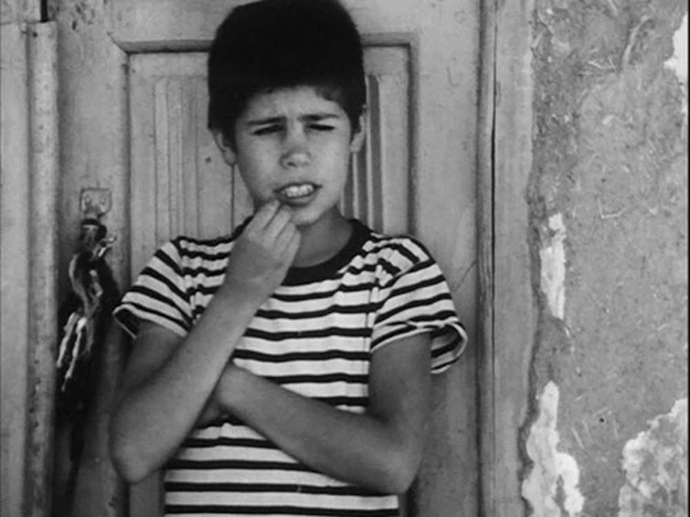 トラベラーの画像