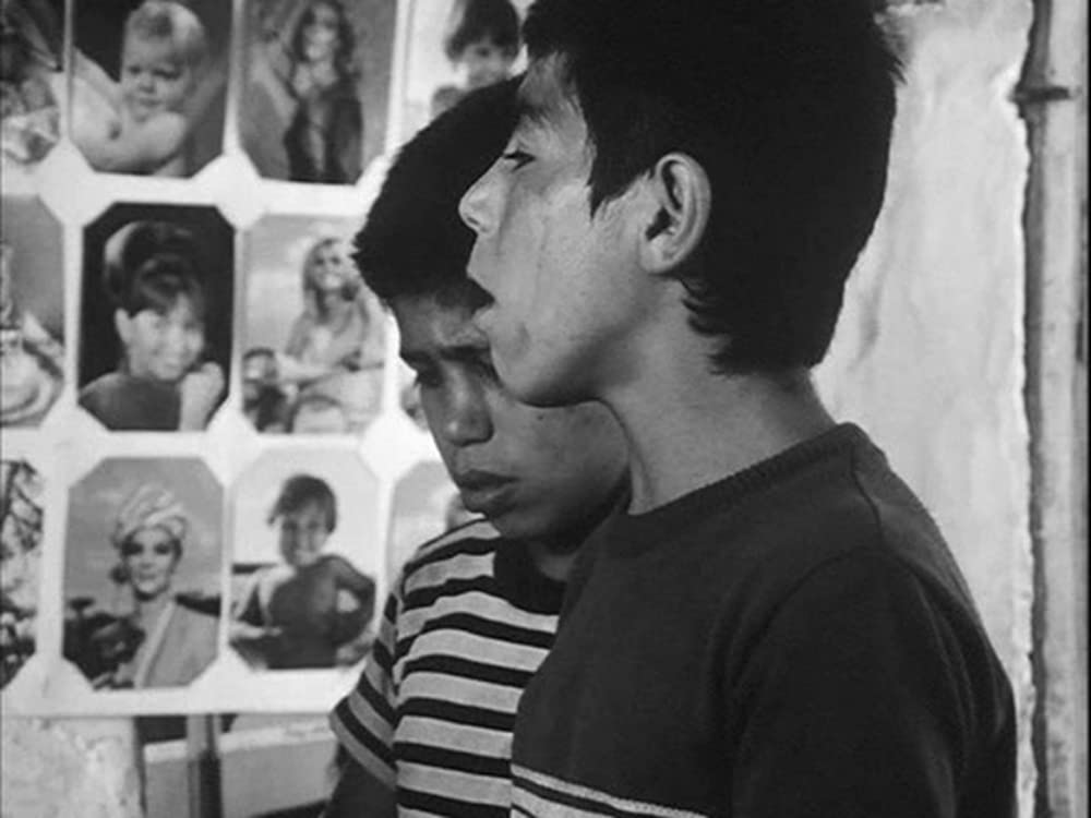 トラベラーの画像