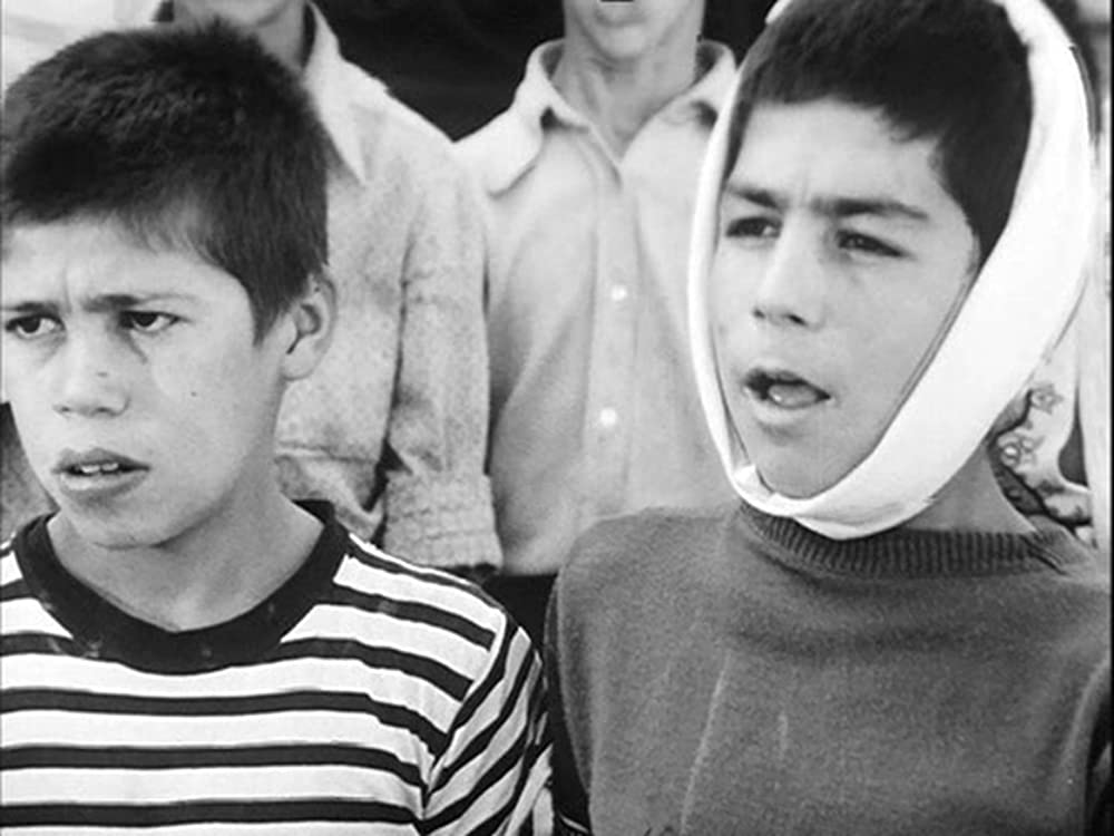 トラベラーの画像