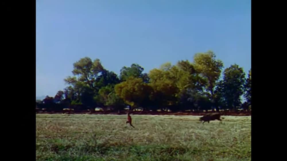 南部の唄の画像