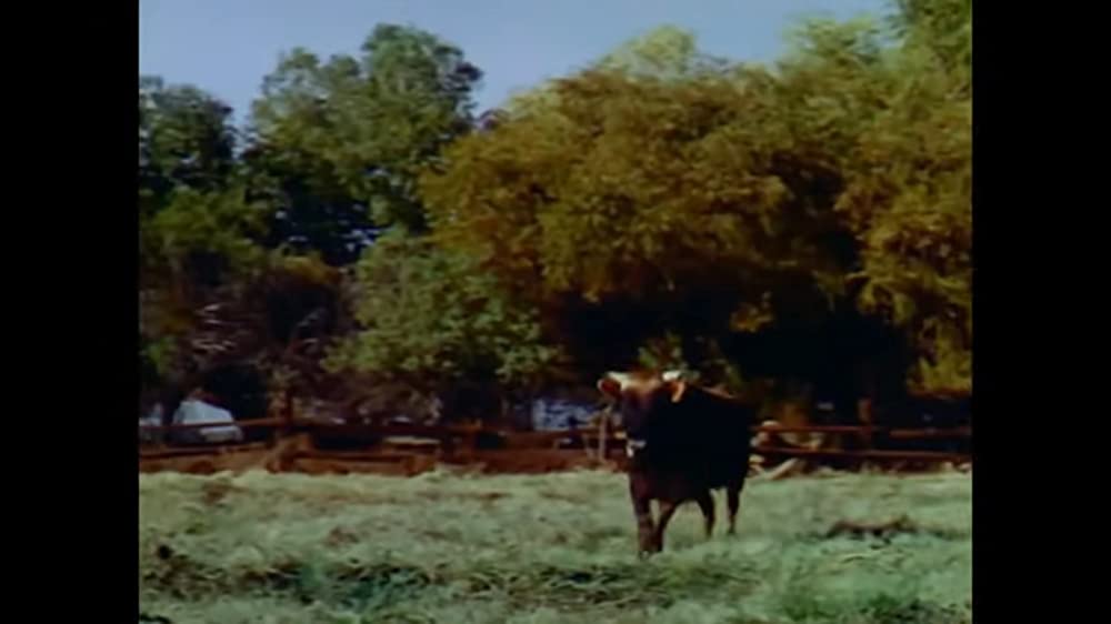 南部の唄の画像