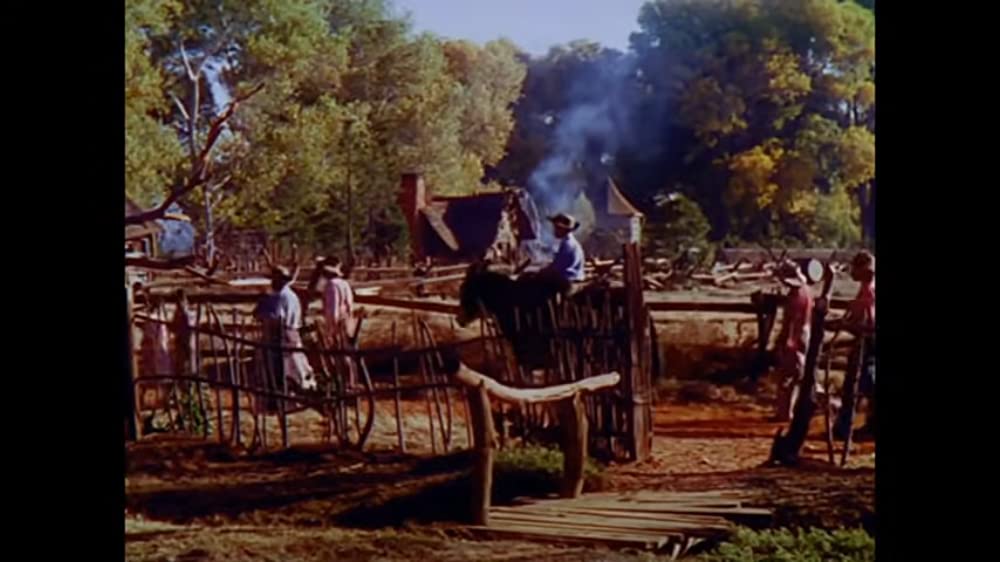 南部の唄の画像