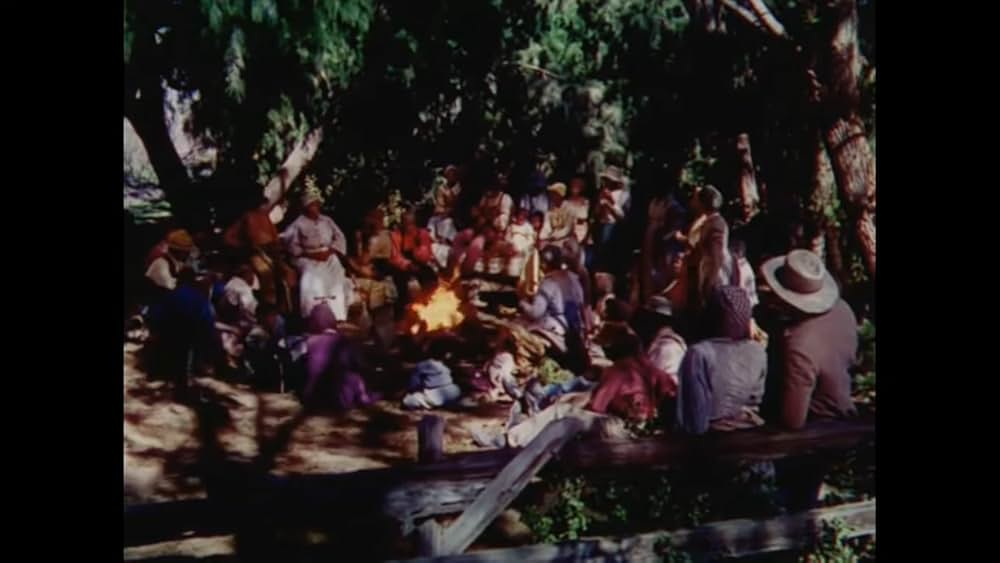 南部の唄の画像