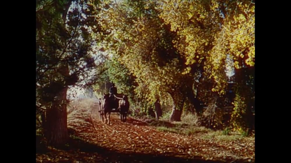 南部の唄の画像