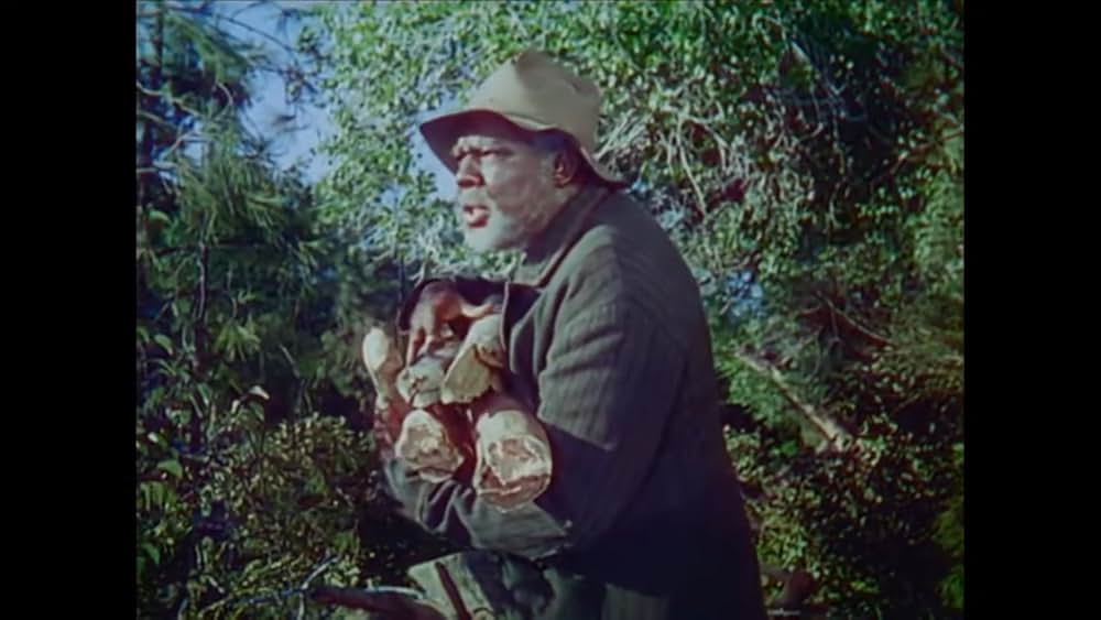 南部の唄の画像