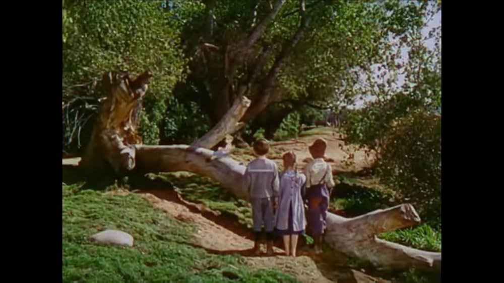 南部の唄の画像