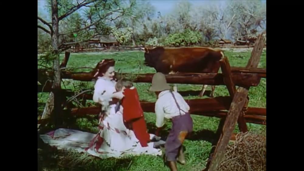 南部の唄の画像