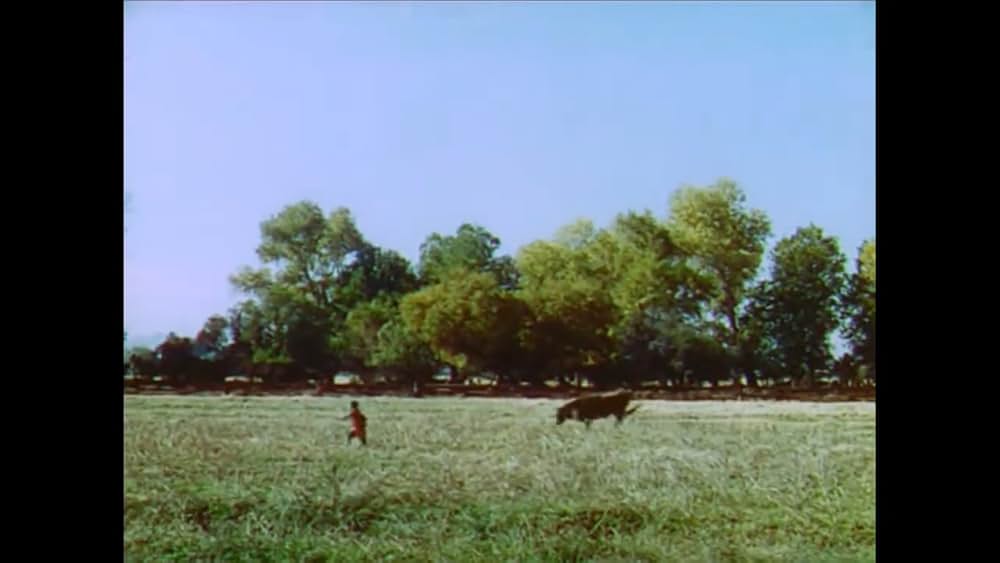 南部の唄の画像