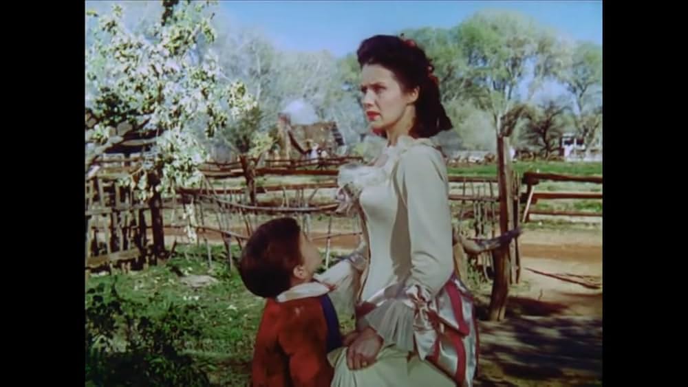 南部の唄の画像