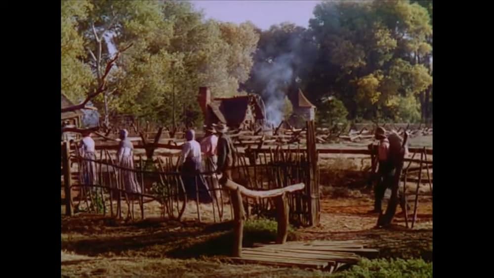 南部の唄の画像