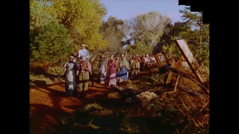 南部の唄の画像