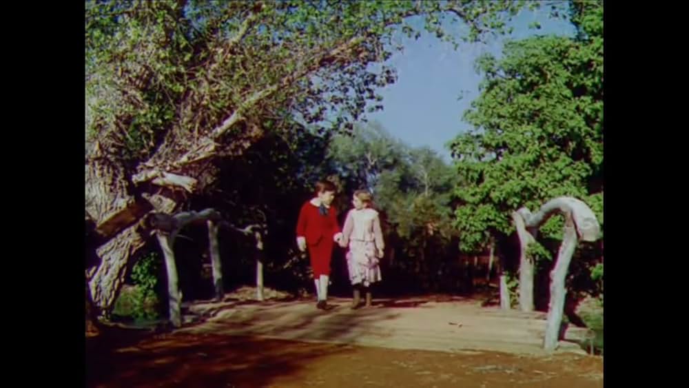 南部の唄の画像