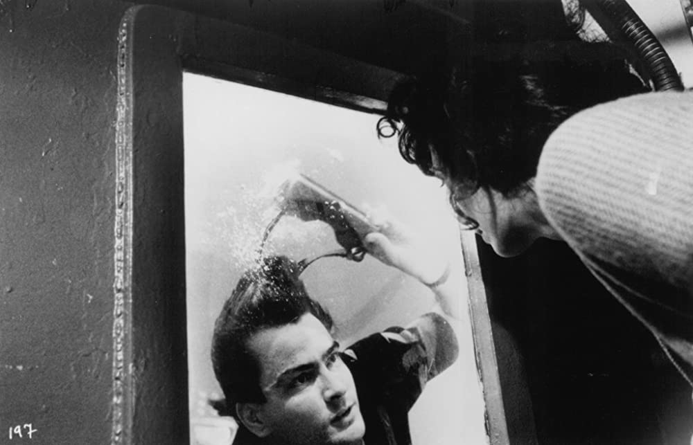 「ネイビー・シールズ」チャーリー・シーン & ジョアンヌ・ウォーリーの画像