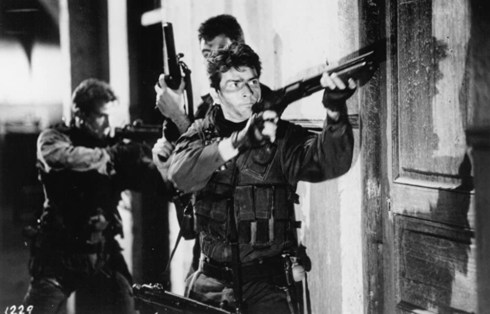 「ネイビー・シールズ」チャーリー・シーンの画像