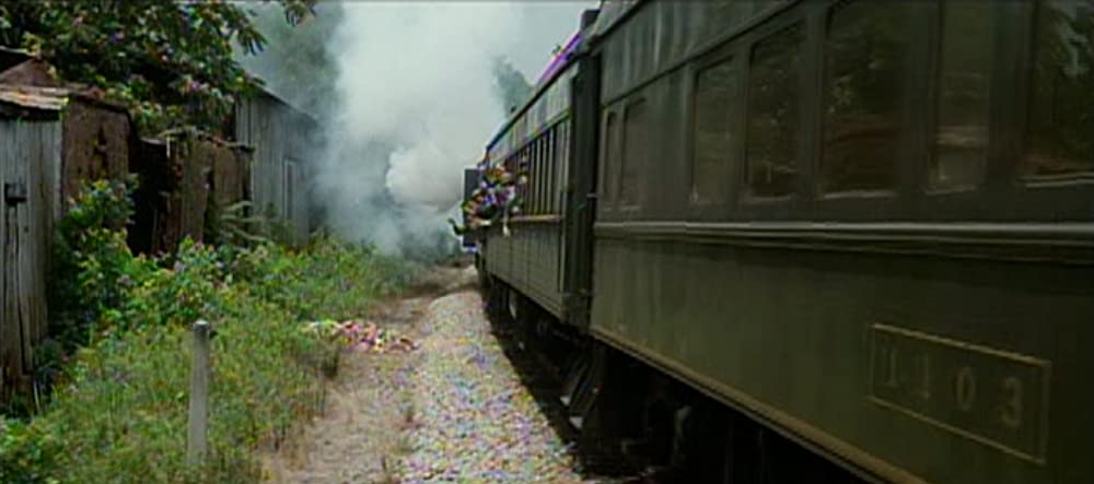 ネオン・バイブルの画像