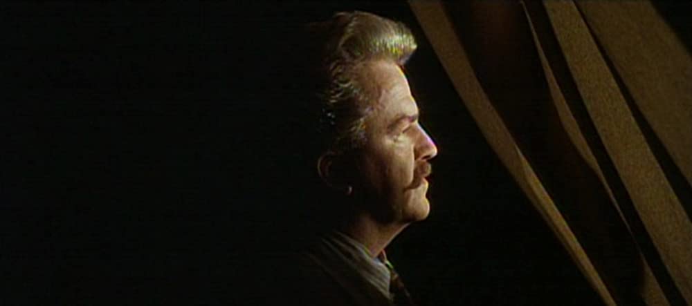 ネオン・バイブルの画像