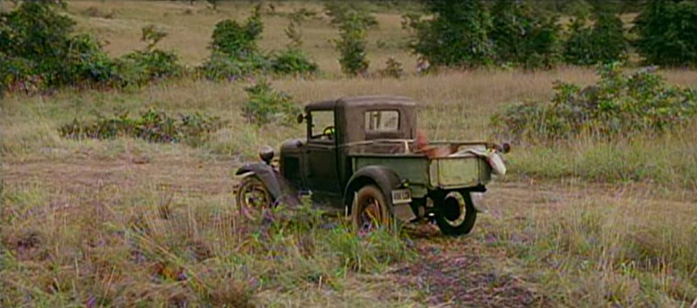 ネオン・バイブルの画像