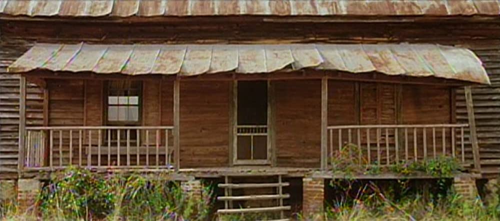 ネオン・バイブルの画像