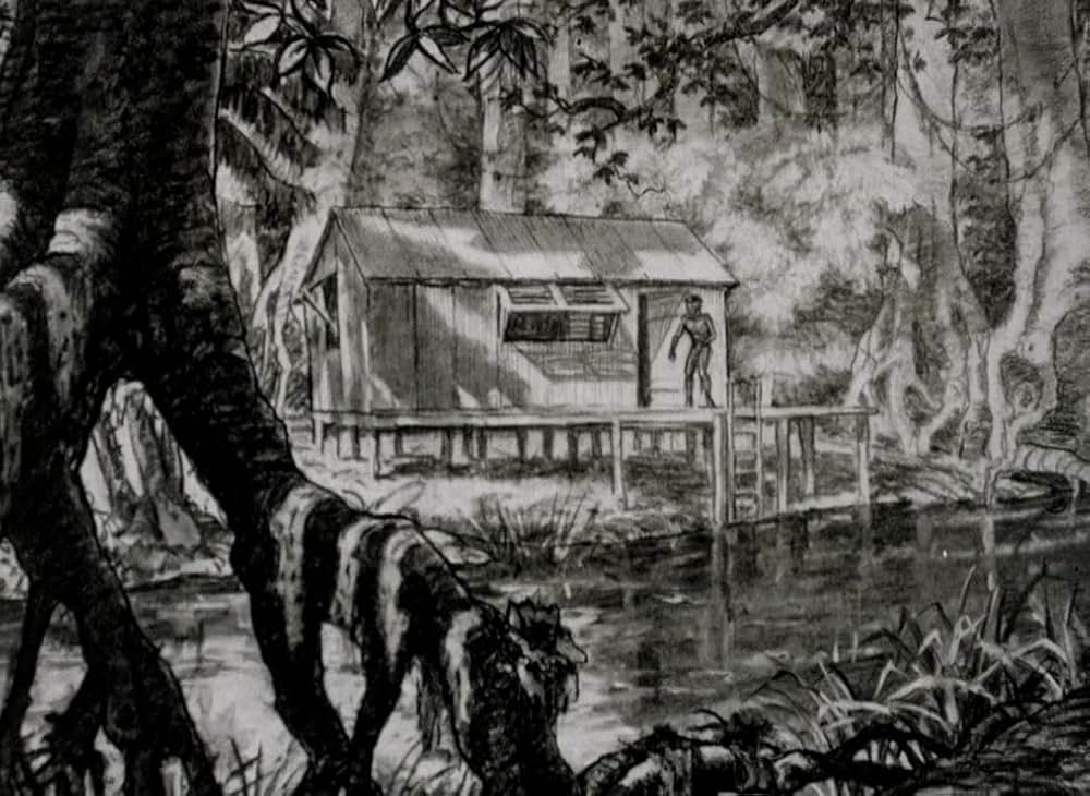 ハート・オブ・ダークネス／コッポラの黙示録の画像