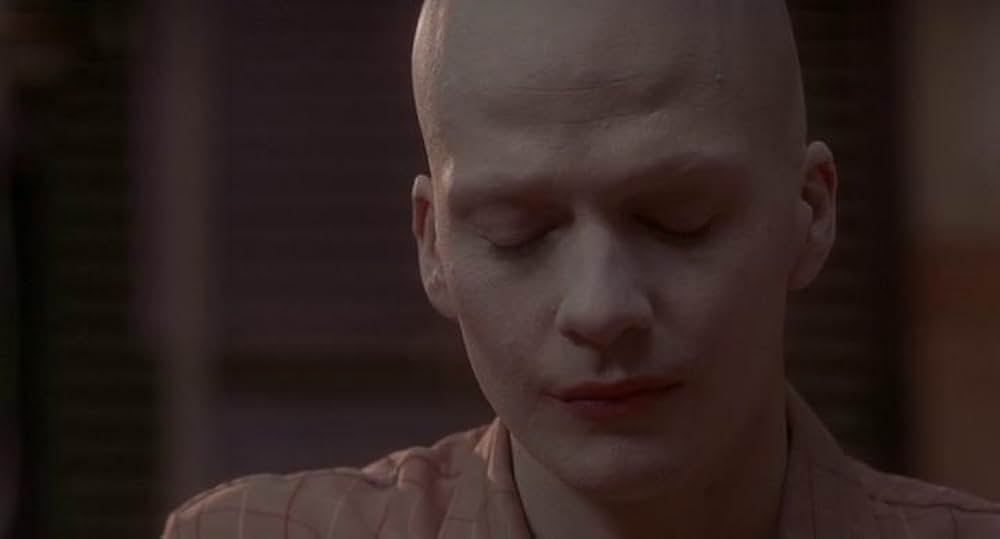 パウダーの画像