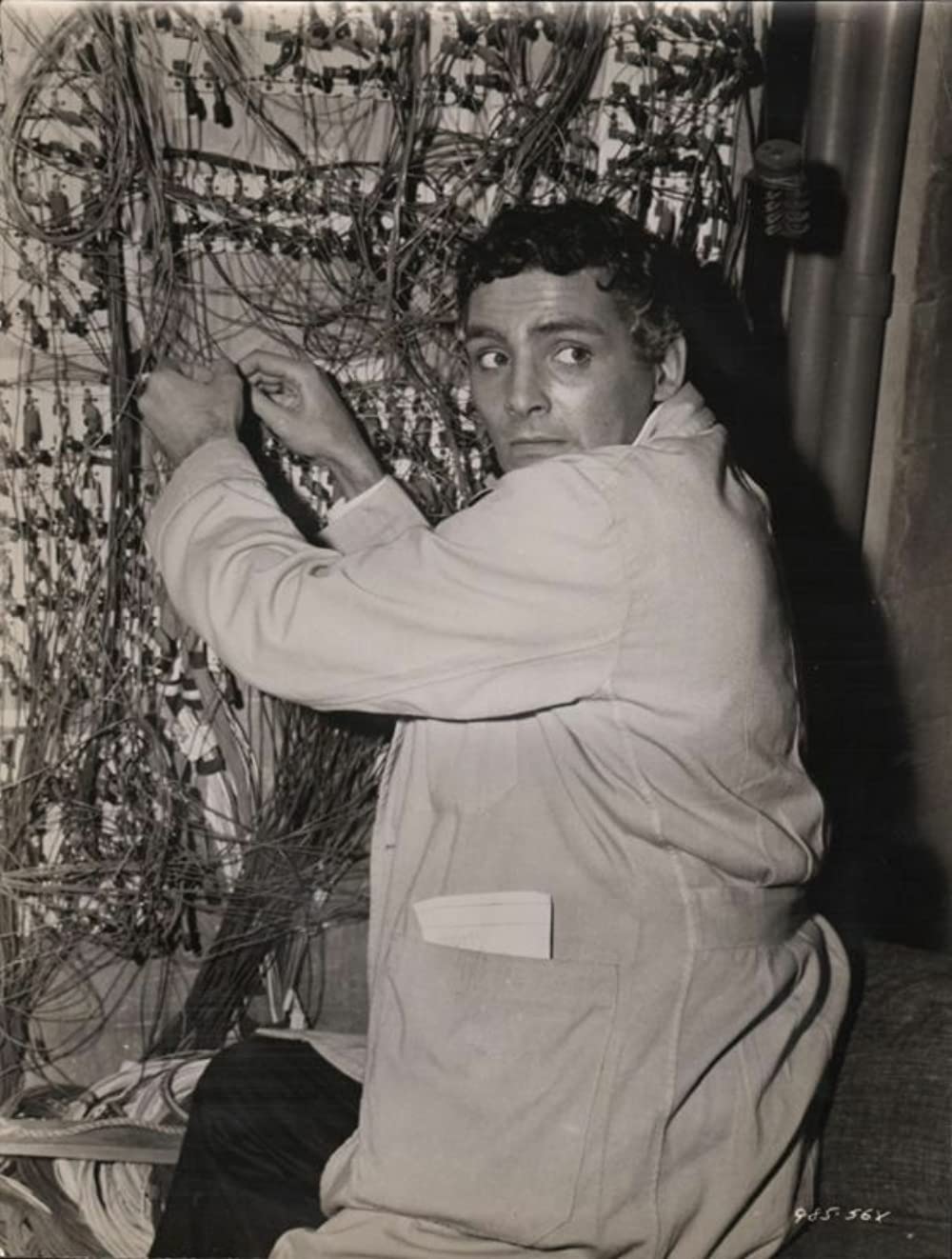 「蝿男の恐怖」デビッド・ヘディソンの画像