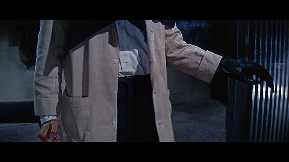 蝿男の恐怖の画像