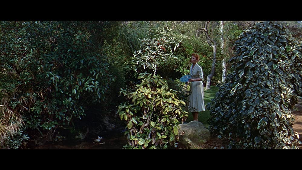 蝿男の恐怖の画像