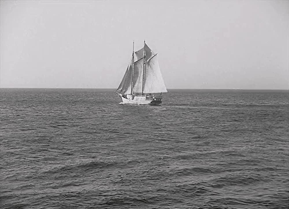 「ハリケーン」の画像