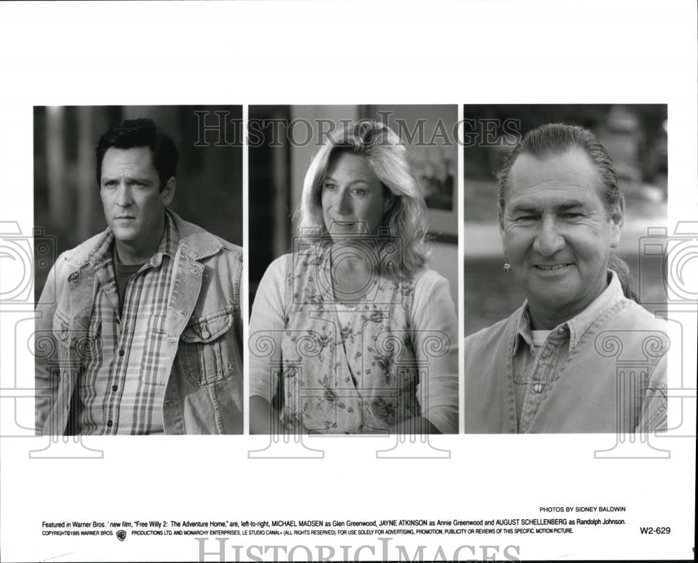 フリー・ウィリー2の画像