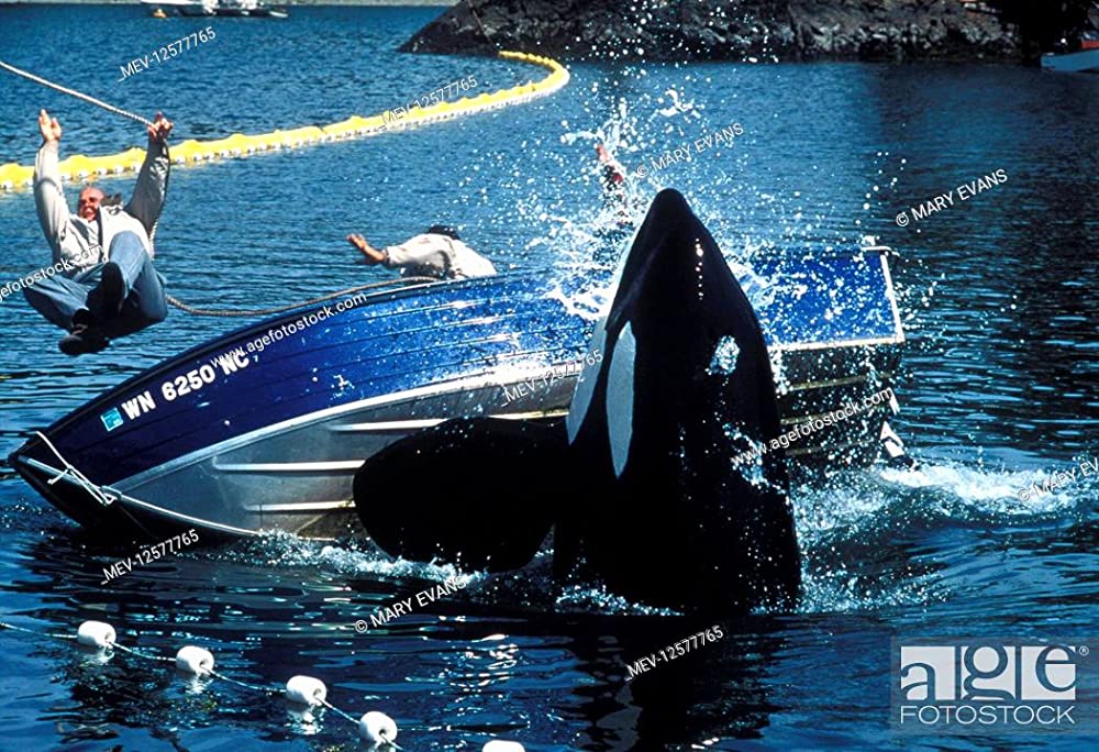 フリー・ウィリー2の画像