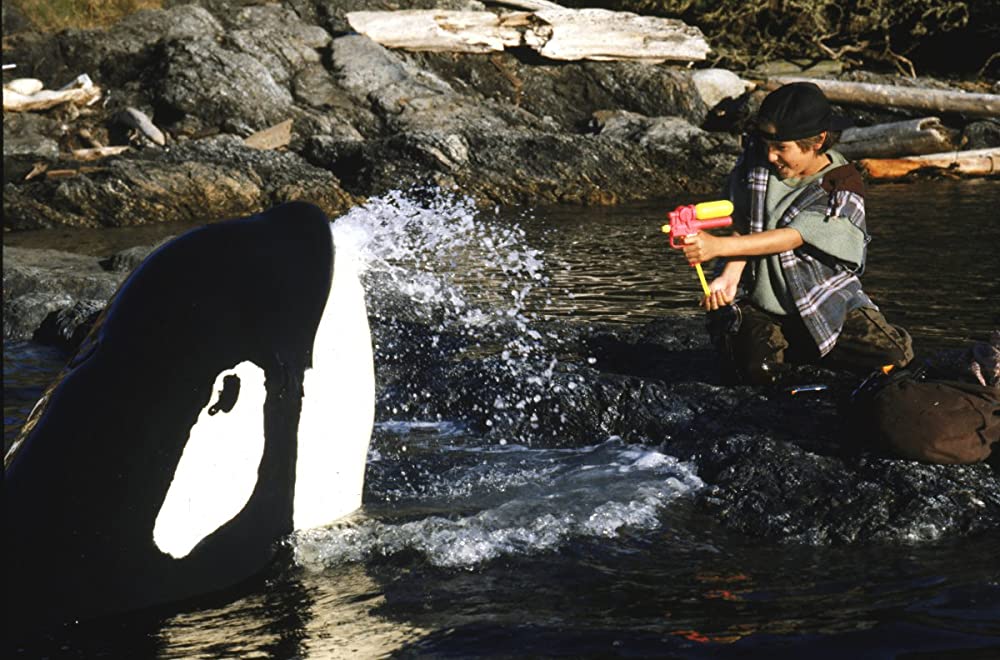 フリー・ウィリー2の画像