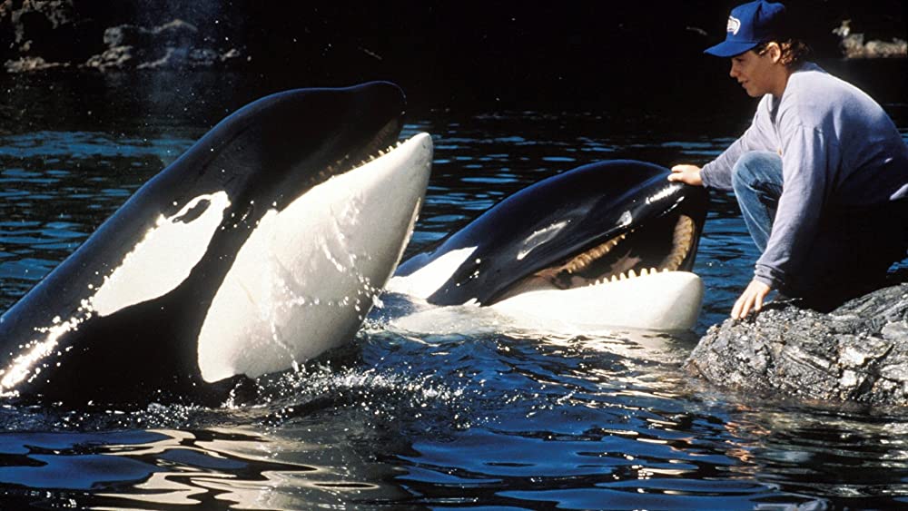 フリー・ウィリー2の画像