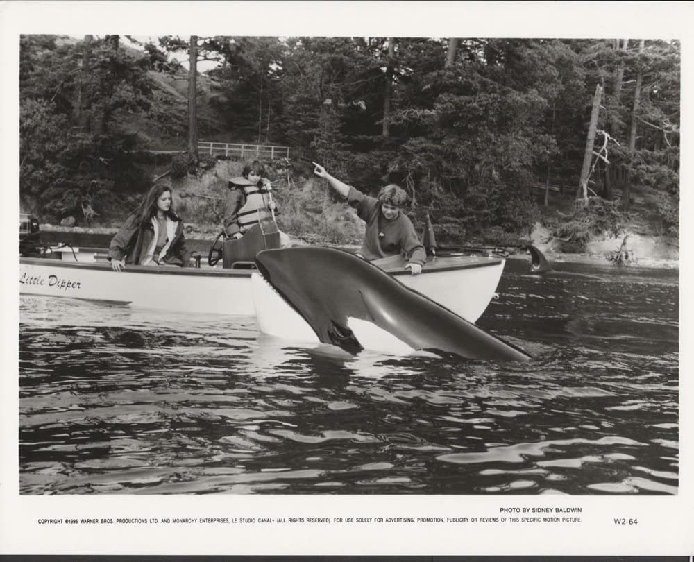 フリー・ウィリー2の画像