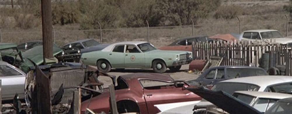 ボーダーの画像