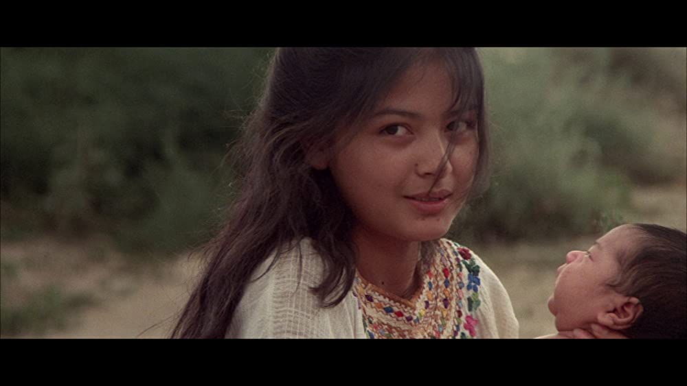 ボーダーの画像