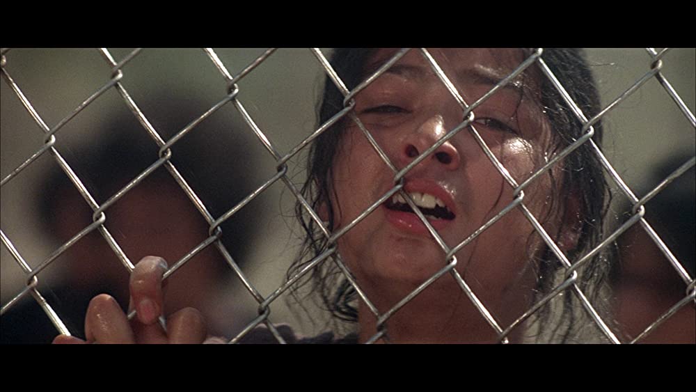 ボーダーの画像