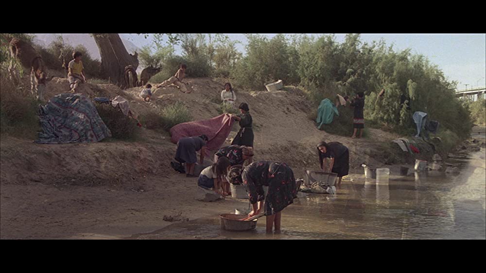 ボーダーの画像