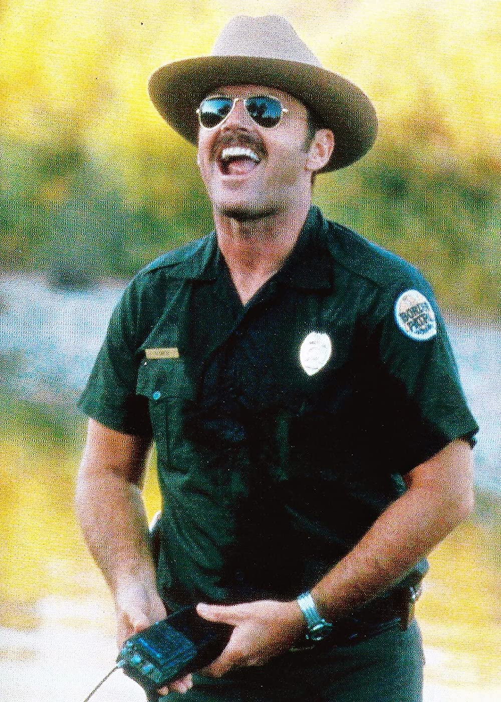 ボーダーの画像