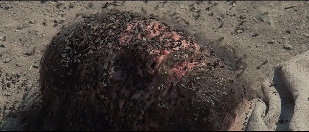 「ホーリー・マウンテン」Horacio Salinasの画像