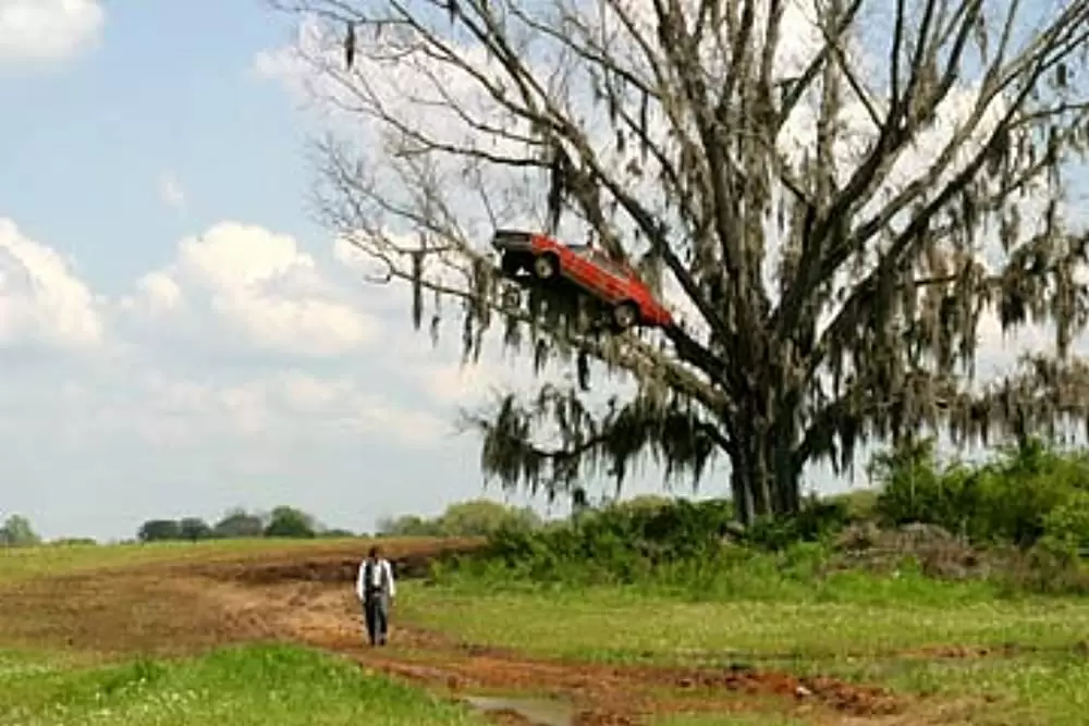 ビッグ・フィッシュの画像