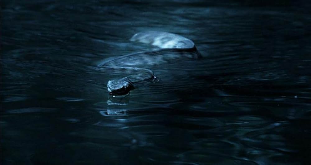 ビッグ・フィッシュの画像