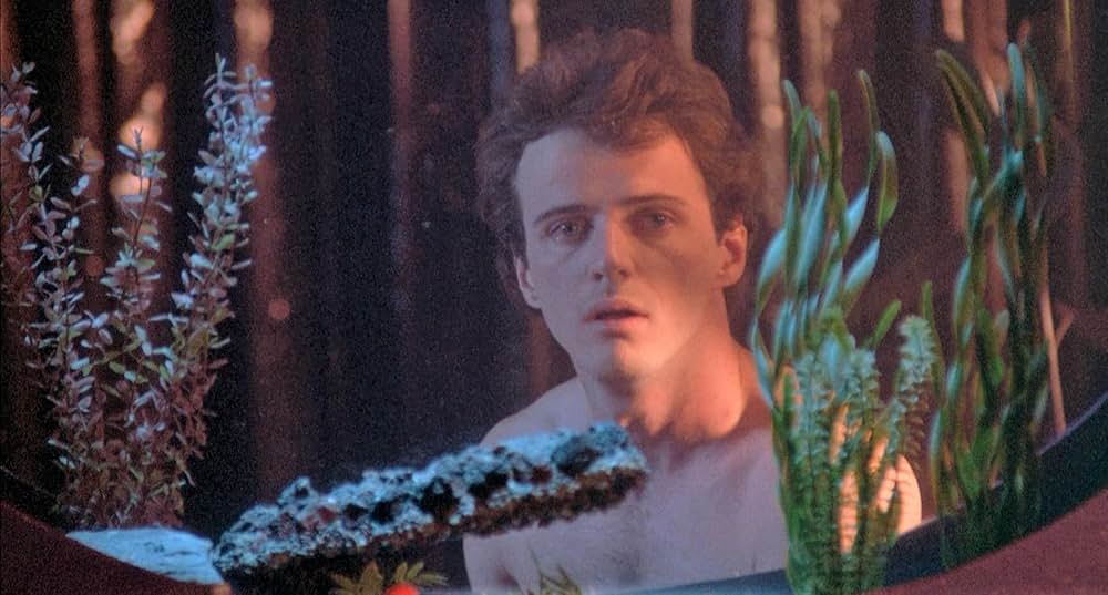 マドンナのスーザンを探しての画像