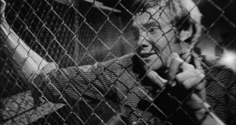 真夜中のカーボーイの画像