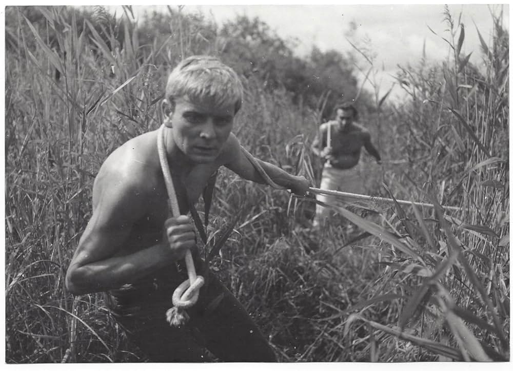 水の中のナイフの画像