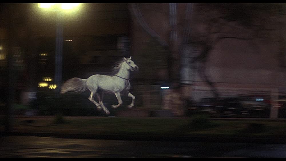 ミッシングの画像