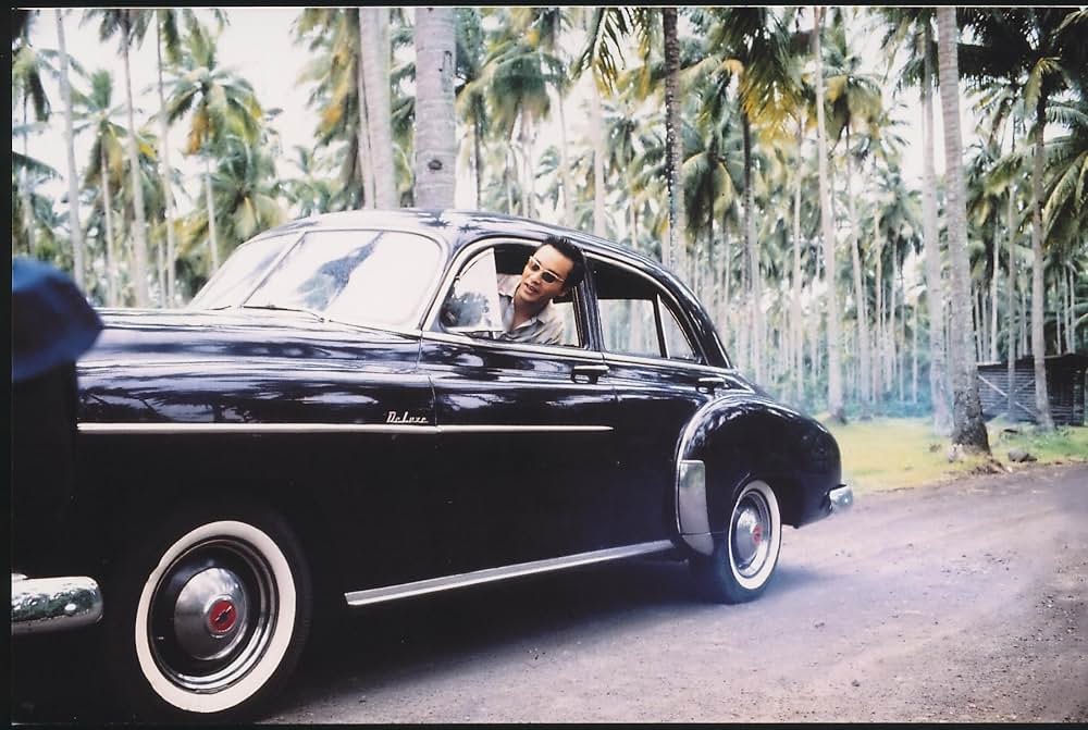 欲望の翼の画像