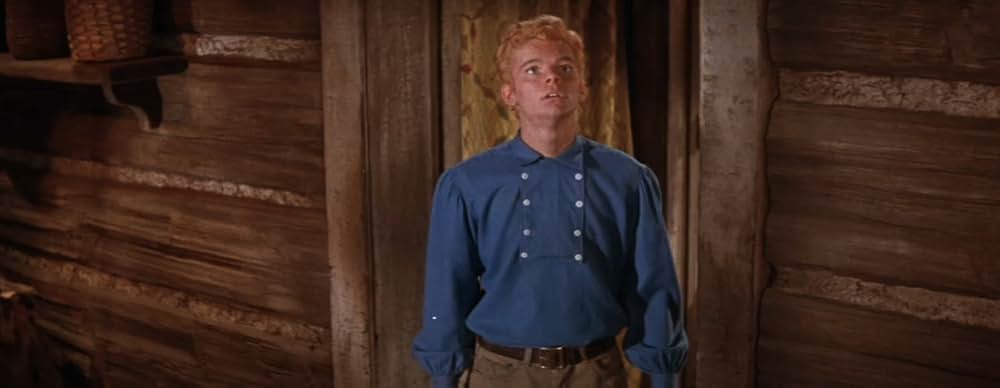 掠奪された七人の花嫁の画像