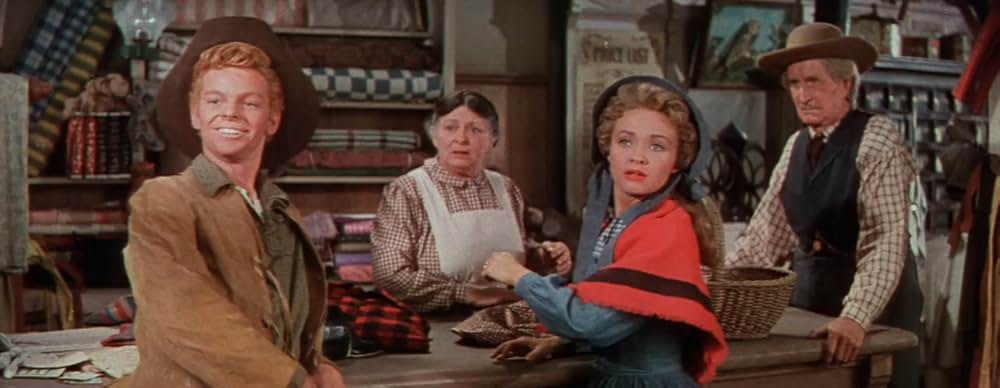 掠奪された七人の花嫁の画像