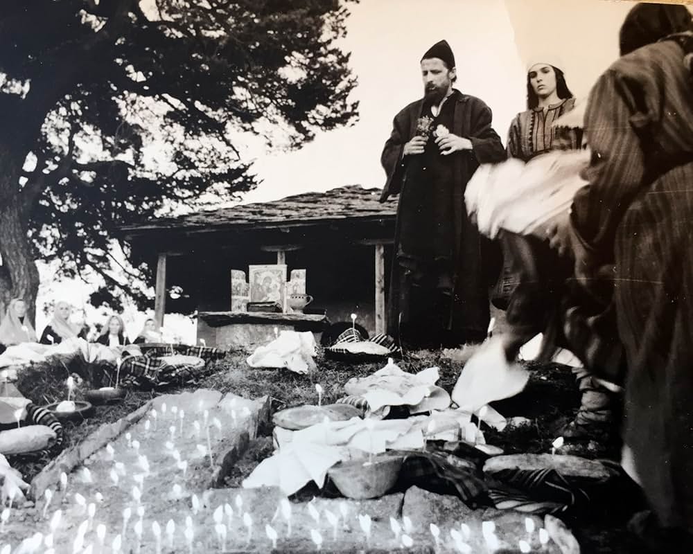 略奪の大地の画像