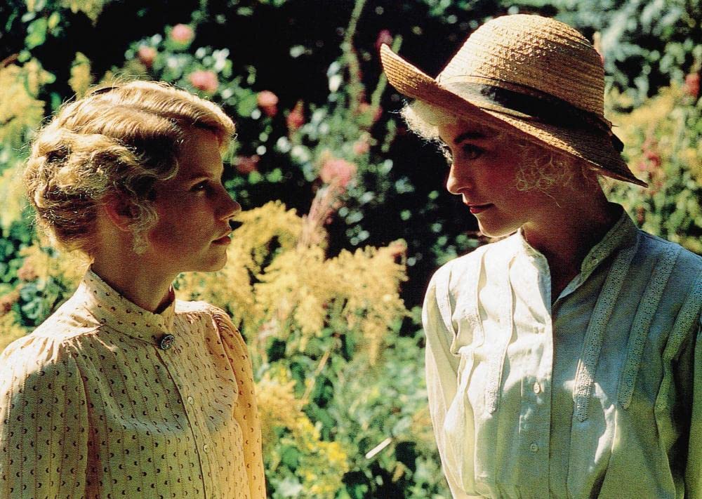 レインボウの画像